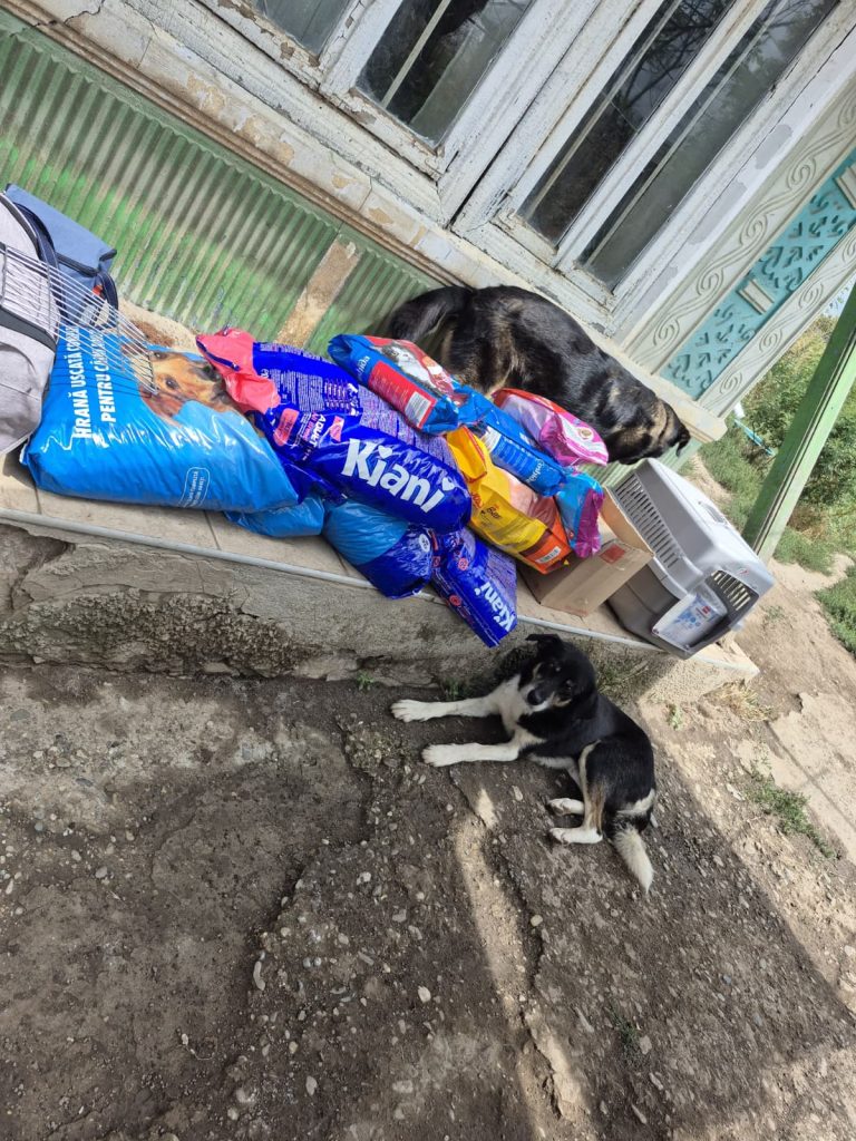 Mancare pentru caini