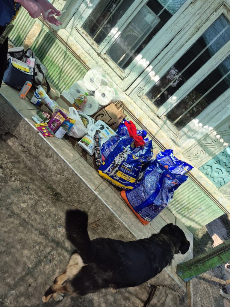 Mancare pentru animalele de la Rodica