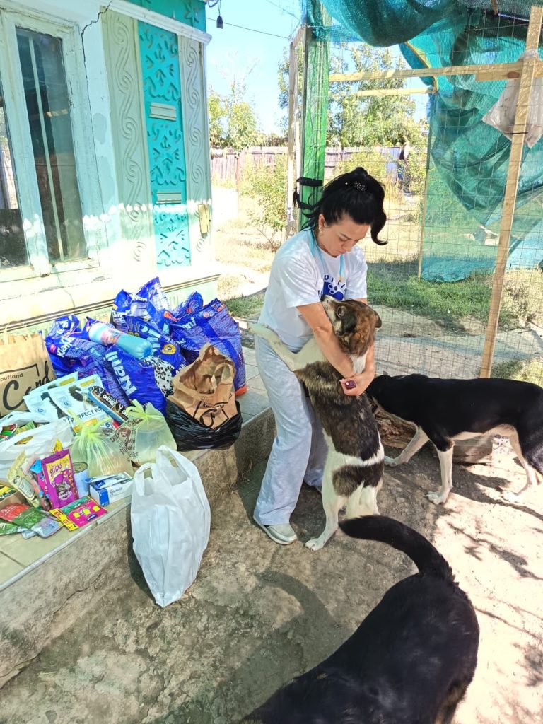 Pe teren, la Rodica, cu cainii