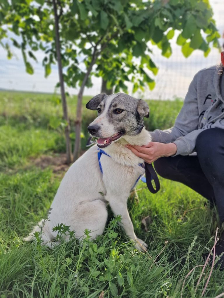 Carla la plimbare cu Cezara