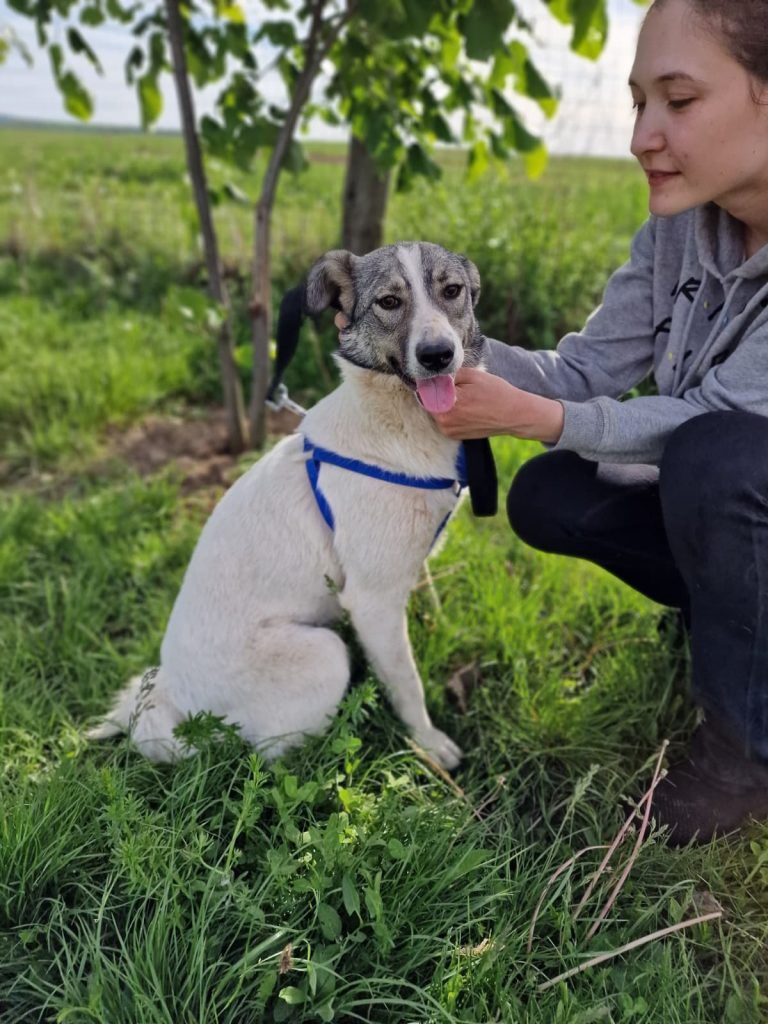 Adopție Carla