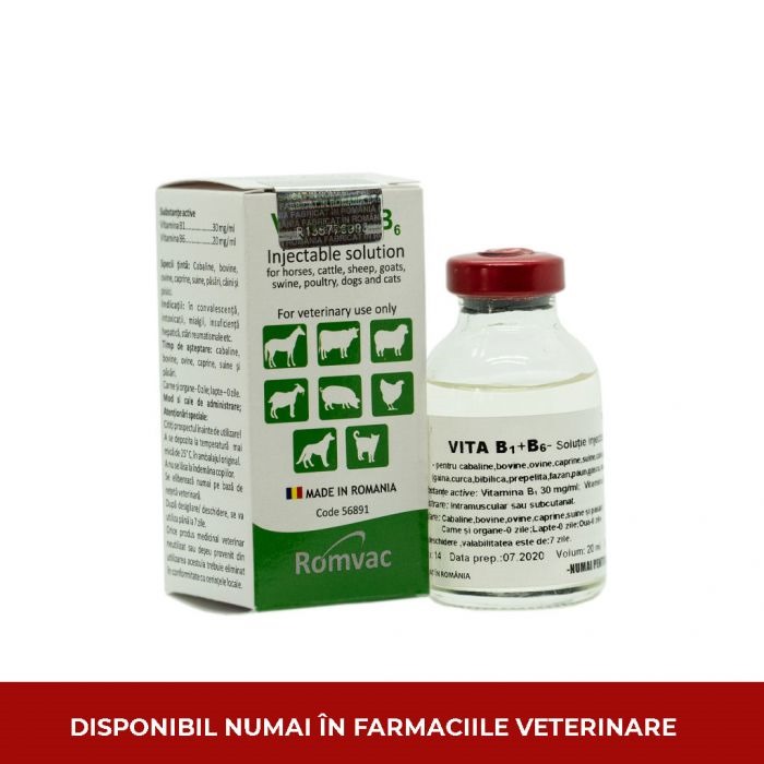 Vitamina B1B6 injectabil, 20 ml de la ROMVAC