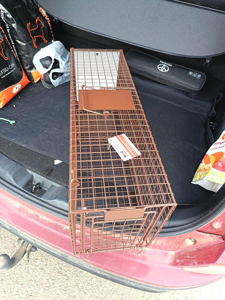 Cusca capcana primita cadou la conferinta