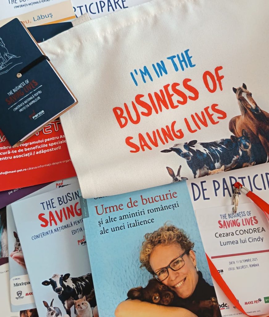 Pliante si alte materiale de la conferinta