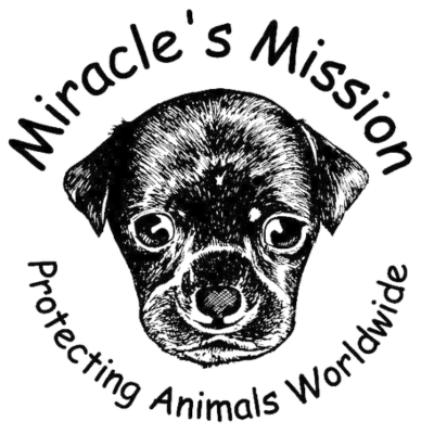 Miracle’s Mission