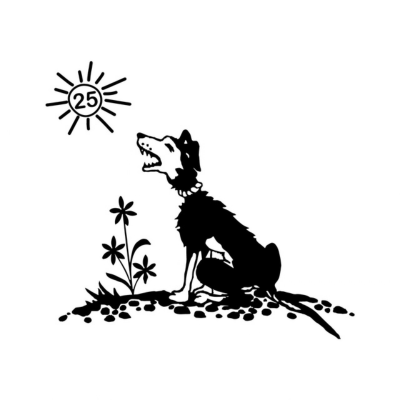 Stichting Animal Association International